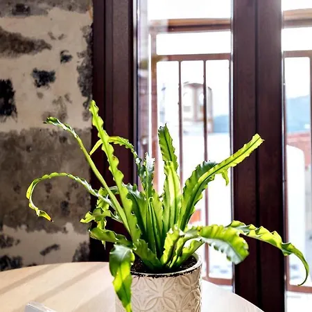 Mirthia Apartamento